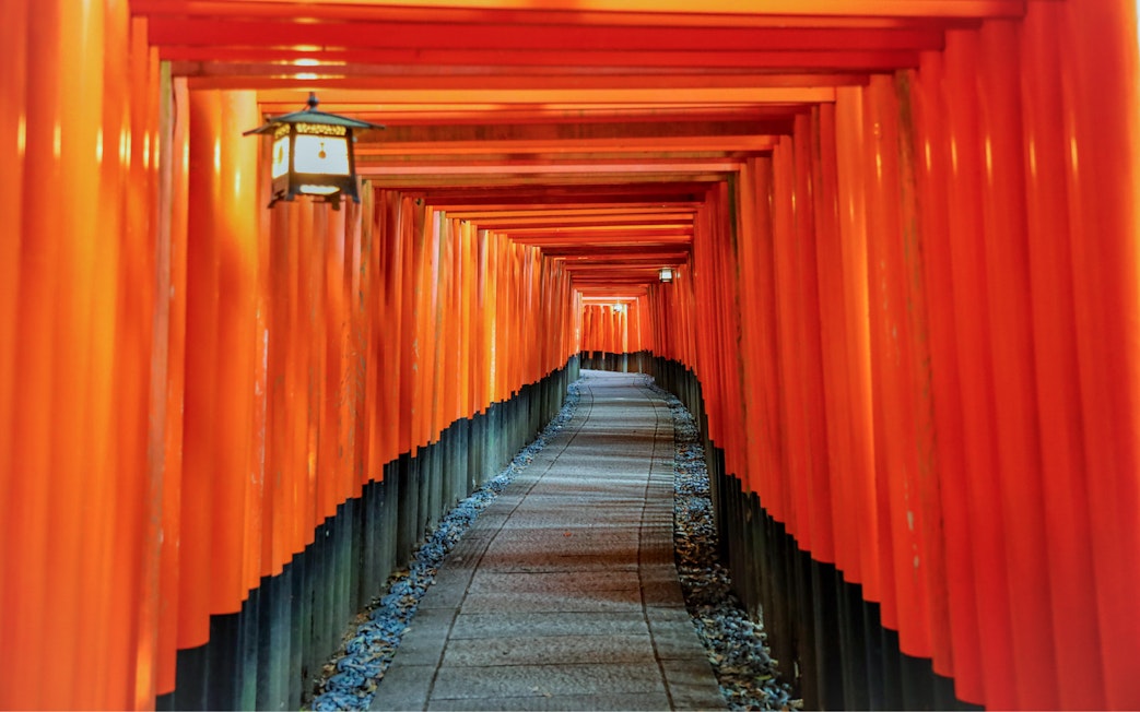 Torii gate tunnel at Fushimi Inari Taisha Shrine, Kyoto, Japan.