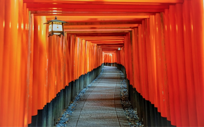 Torii gate tunnel at Fushimi Inari Taisha Shrine, Kyoto, Japan.