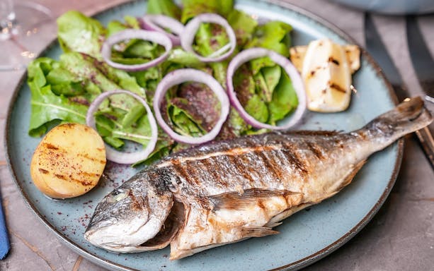 Grilled fish with salad and potato served on Bosphorus dinner cruise.