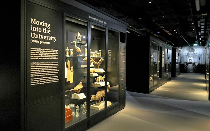 Exhibit hall at Lee Kong Chian Natural History Museum with taxidermy specimens in glass cases, Singapore.