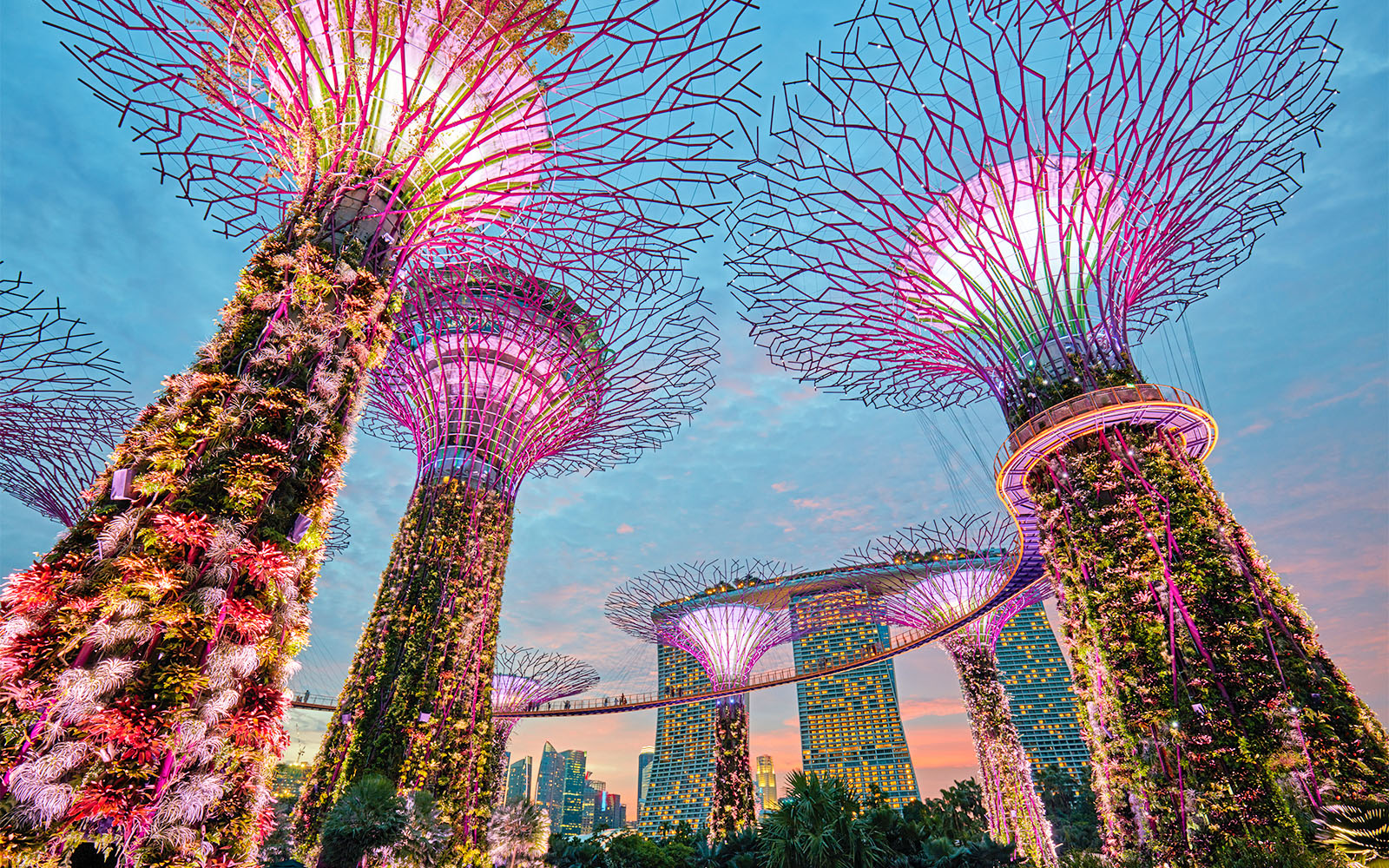 Slingshot Singapore - gardens by the bay