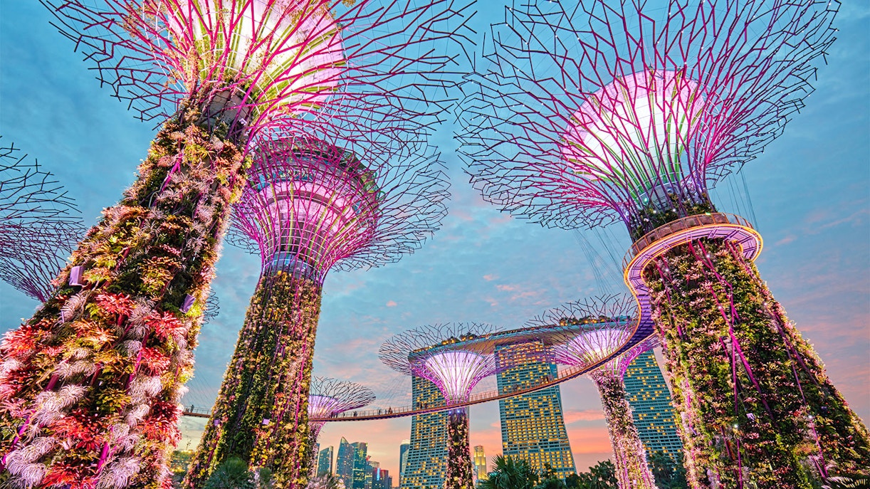 Slingshot Singapore - gardens by the bay