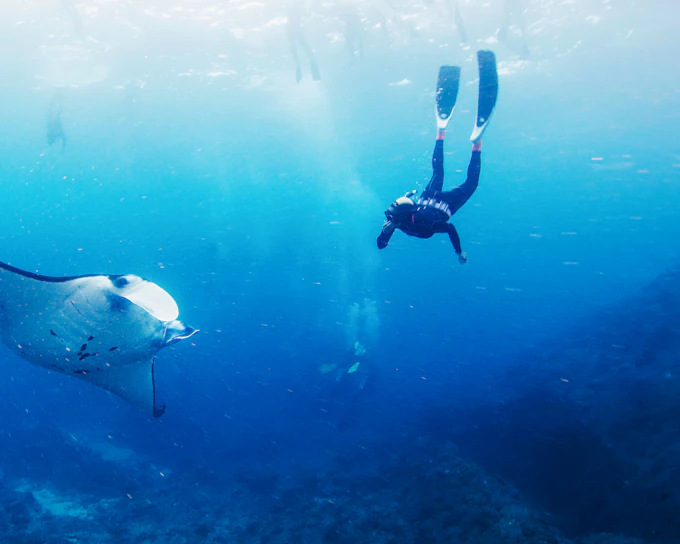 From Bali: Snorkelling with Manta Rays & Nusa Lembongan Day Tour