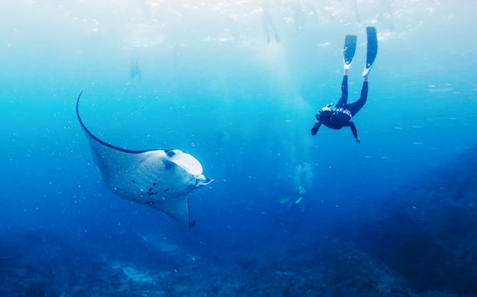 Snorkeler swimming with a manta ray in Bali waters.