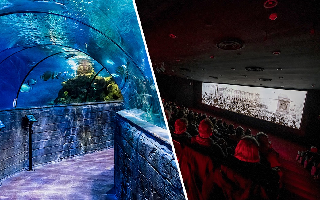 Malta National Aquarium tunnel and audience at The Malta Experience show.