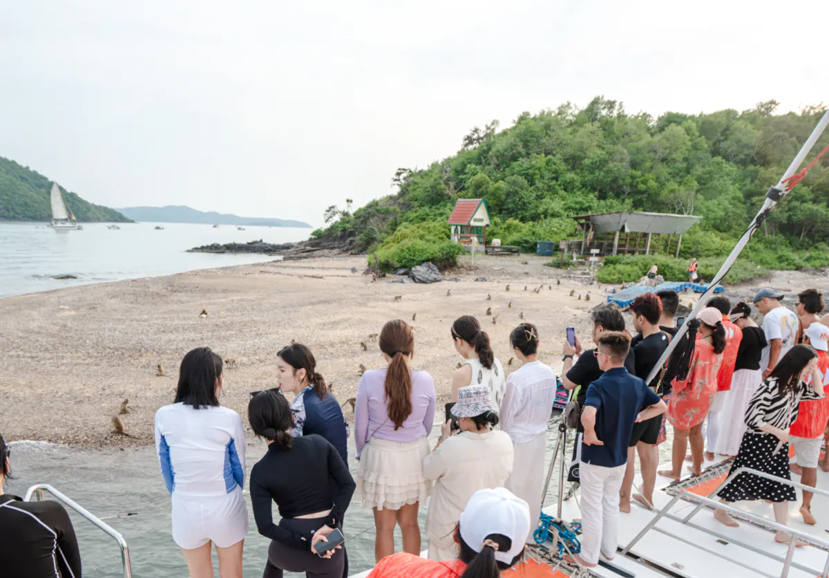 Tourists observing monkeys on a beach during a Pattaya luxury yacht cruise.