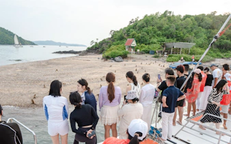 Tourists observing monkeys on a beach during a Pattaya luxury yacht cruise.