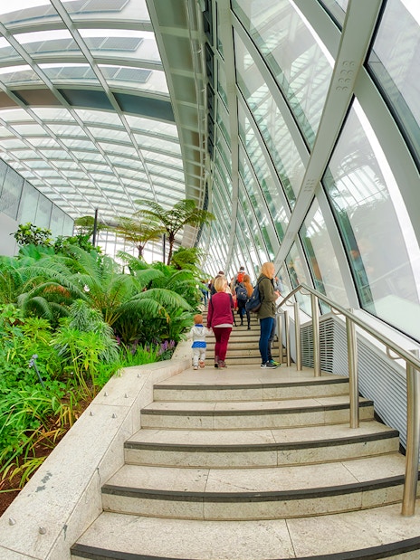 Visitors walking through lush greenery at The Sky Garden, 20 Fenchurch Street, London.