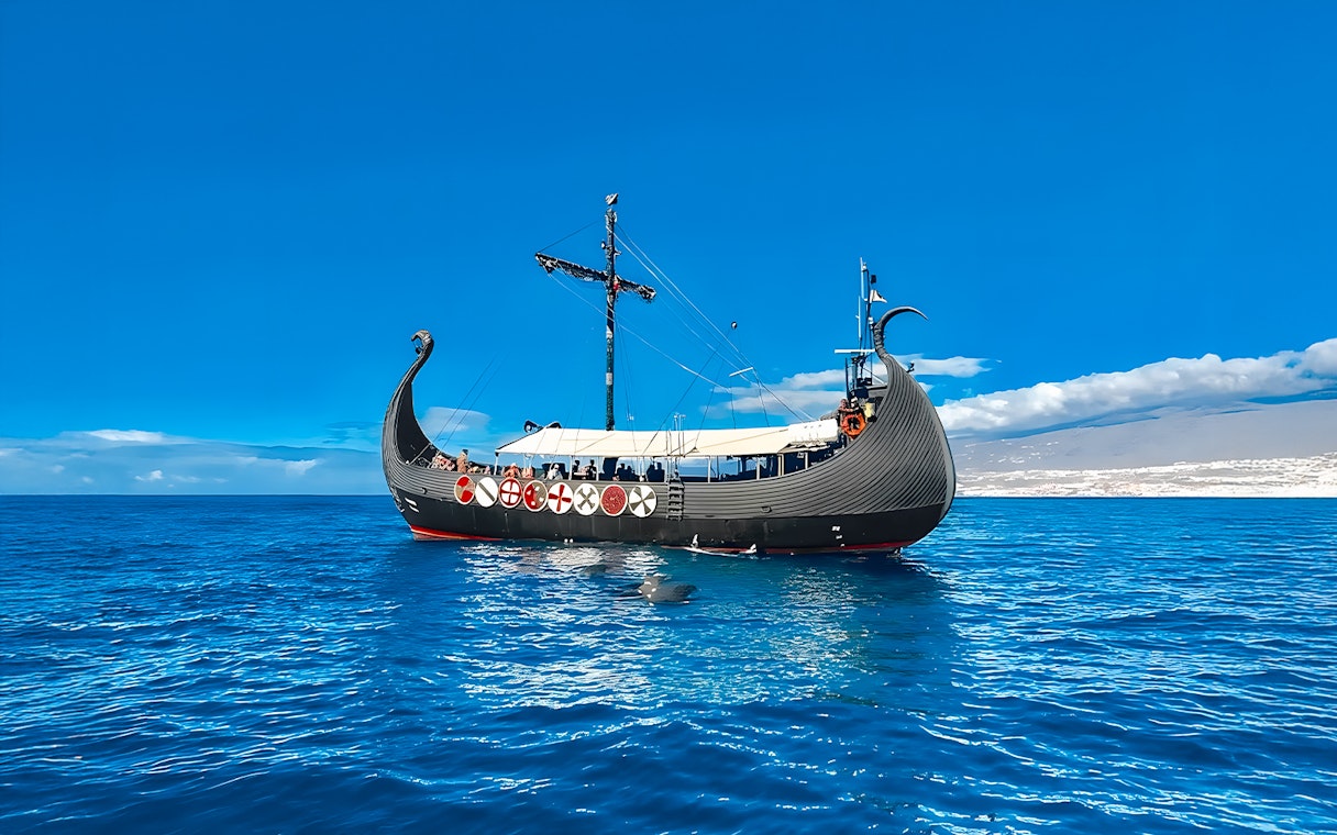 Viking boat on ocean with city skyline in background for whale and dolphin watching cruise.