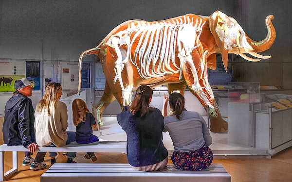 American Museum of Natural History Tickets + 1 Ticketed Exhibition