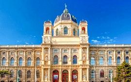 Sanat tarihi ve Doğa Tarihi Müze