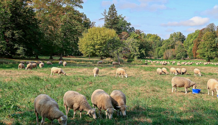 Bergerie Nationale De Rambouillet