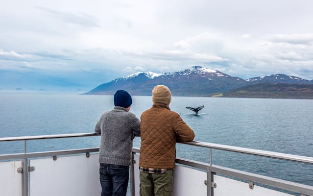 Two people on a boat watching a whale tail in Icelandic waters.