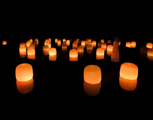 TeamLab Phenomena Abu Dhabi