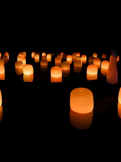 TeamLab Phenomena Abu Dhabi immersive digital art installation with ...