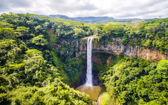 Chamarel Waterfall cascading into lush green forest, Mauritius.