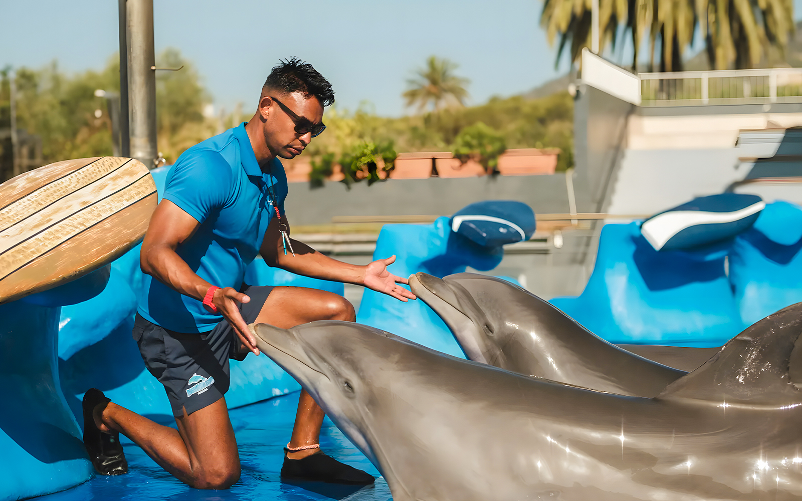 Dolphin trainer interacting with dolphins at Marineland Mallorca.