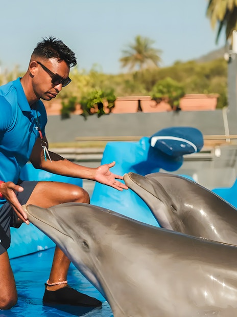 Dolphin trainer interacting with dolphins at Marineland Mallorca.