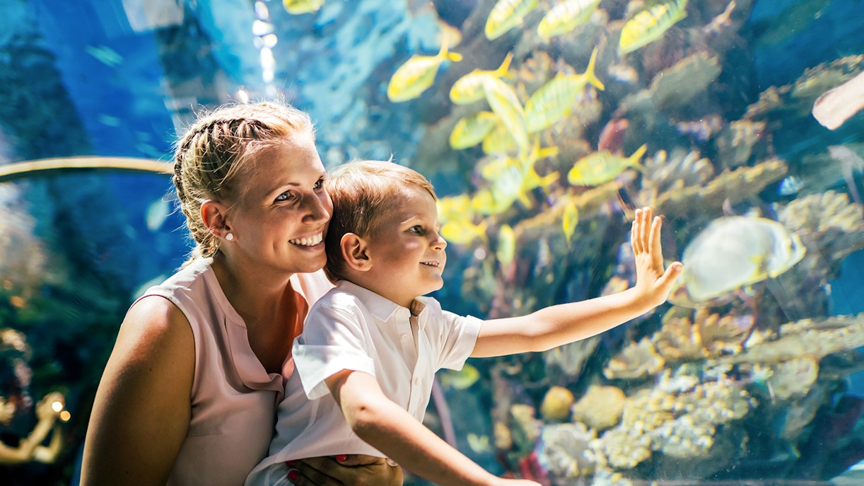 SEA LIFE Oberhausen timings