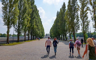 Visitors walking along tree-lined path at Dachau Concentration Camp, Germany.