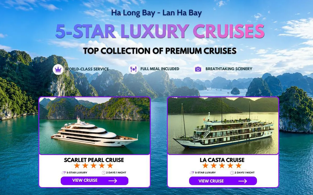 Lan Ha Bay 5-star cruise options with scenic limestone karsts and luxury ships.