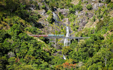 Train crossing a bridge with a waterfall in a lush forest during a scenic tour.