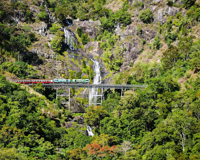 From Port Douglas: Scenic Train & Coach Guided Tour with Transfers