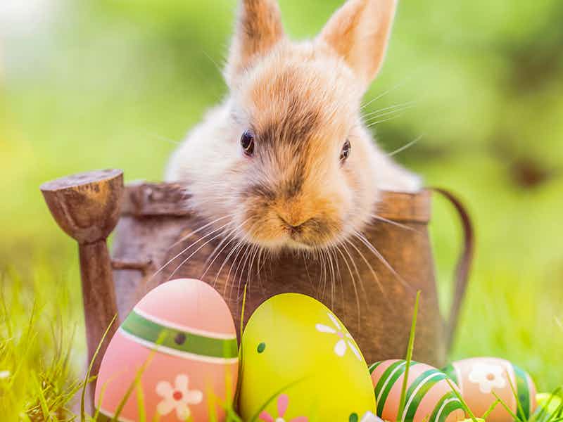 Sydney in April events