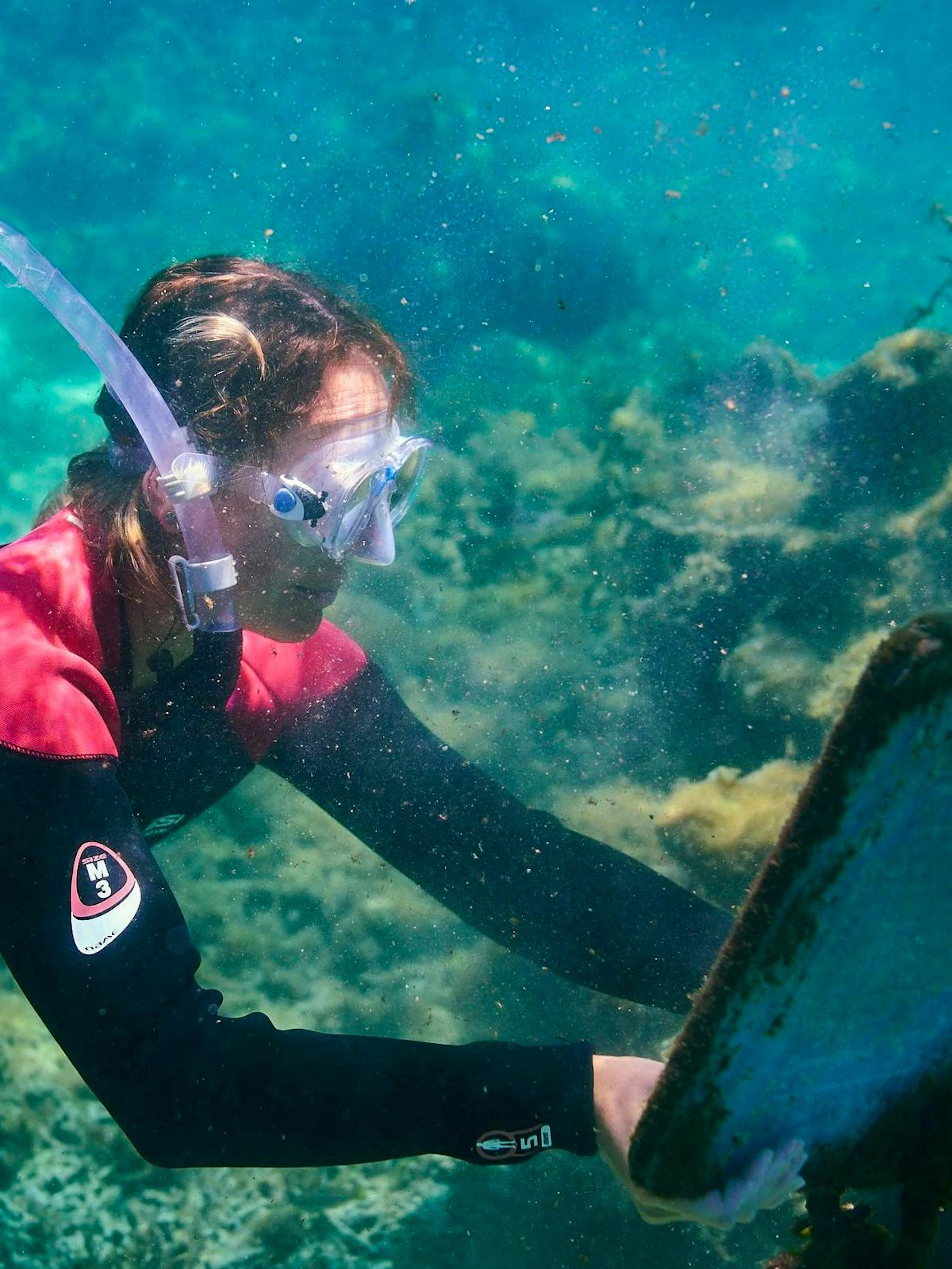 Snorkeler exploring underwater near Rottnest Island, Australia.