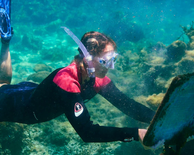 Rottnest Island Guided Snorkelling Tour: 9am Departure (Product 53785)