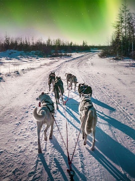 Dog sledding under northern lights in Rovaniemi, Finland.