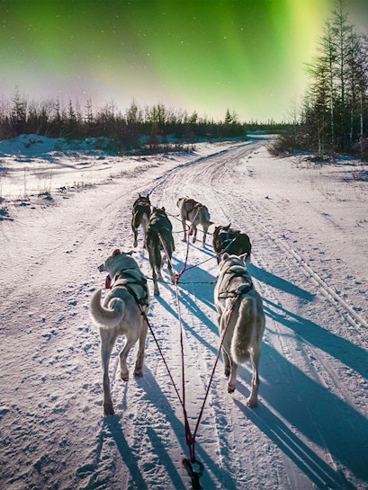 Dog sledding under northern lights in Rovaniemi, Finland.