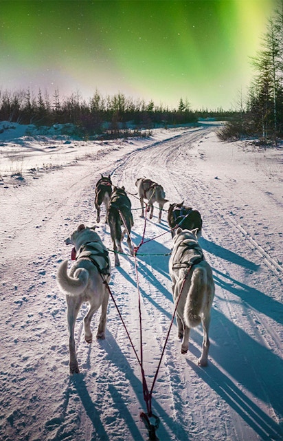 Dog sledding under northern lights in Rovaniemi, Finland.