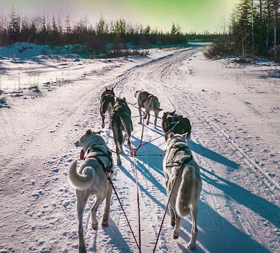Dog sledding under northern lights in Rovaniemi, Finland.