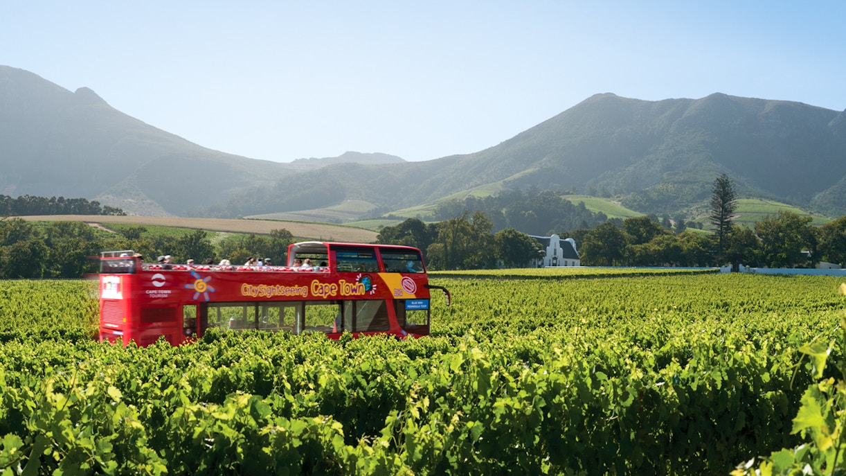 Hop-On Hop-Off Bus tour Cape Town