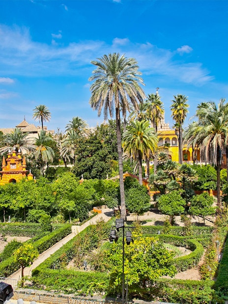 Alcazar of Seville gardens with palm trees and historic architecture.