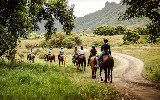 Group horseback riding on a trail at Kualoa Ranch, Hawaii.