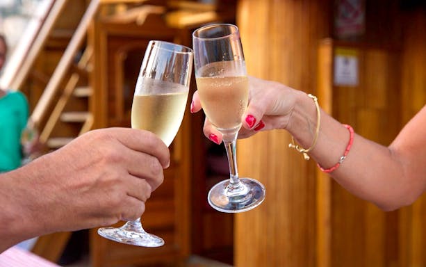 Guests toasting with drinks on Karaka Ship Sunset Cruise.