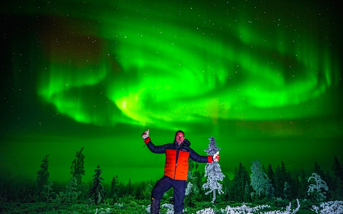 Person enjoying the Northern Lights display in a forest setting.