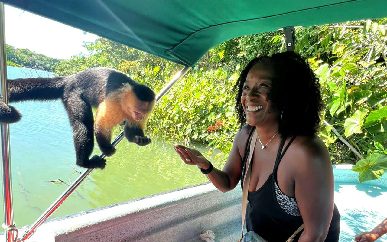 White-faced capuchin monkey on boat canopy frame during Panama wildlife tour.