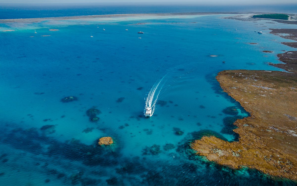 Lady Musgrave Island Tour | Headout