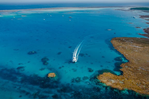 full day tour of lady musgrave island-8