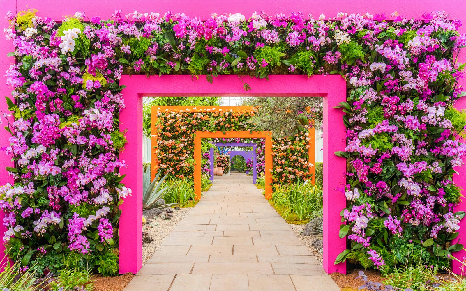 Flowers arranged in colorful arches at The Orchid Show, showcasing Mexican Modernism, New York Botanical Garden.