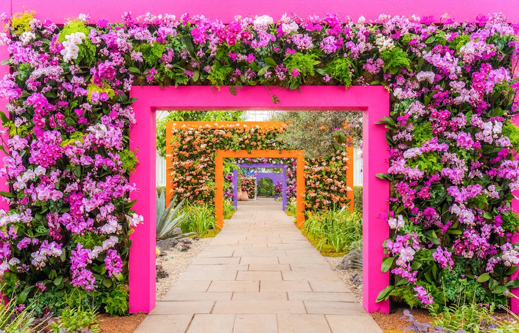 Flowers arranged in colorful arches at The Orchid Show, showcasing Mexican Modernism, New York Botanical Garden.