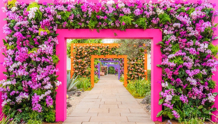Flowers arranged in colorful arches at The Orchid Show, showcasing Mexican Modernism, New York Botanical Garden.