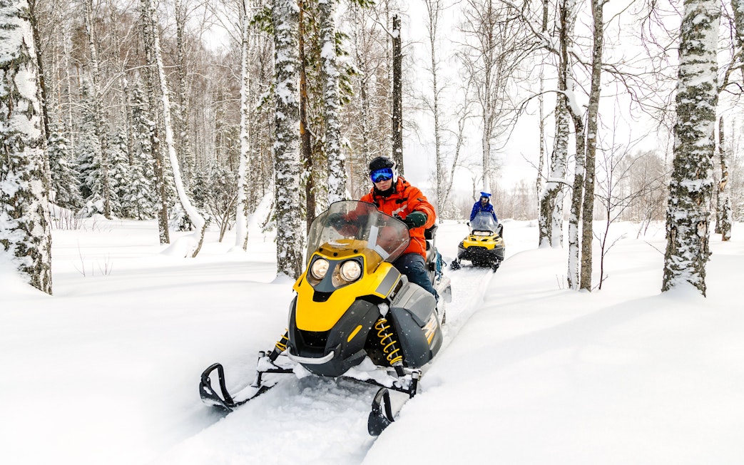 Man riding snowmobile through snowy forest in Lapland.