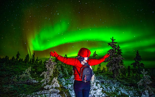 Guests viewing Northern Lights on a tour in Rovaniemi, Finland, with a camera.
