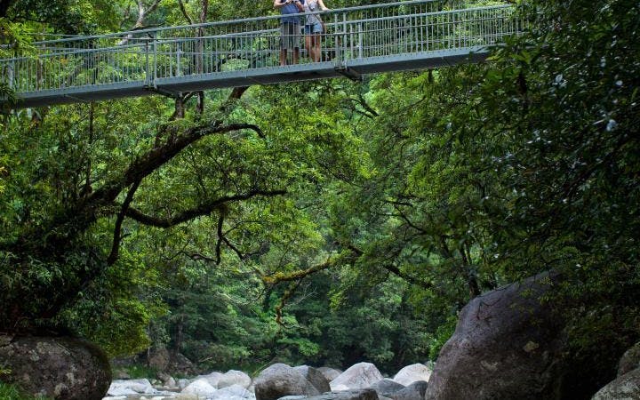 mossman gorge daintree experience-3