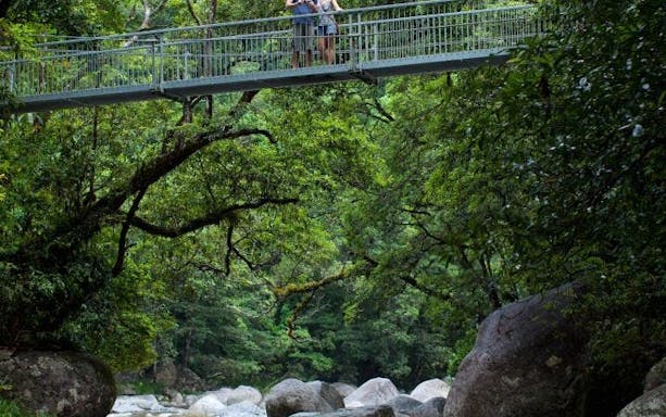 mossman gorge daintree experience-3