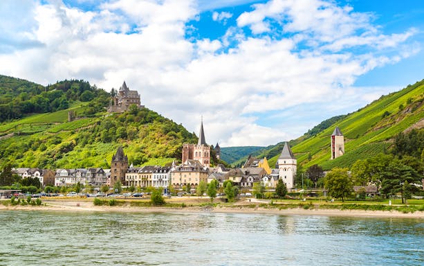 Bingen on the Rhine with historic buildings and vineyards along the river, Germany.